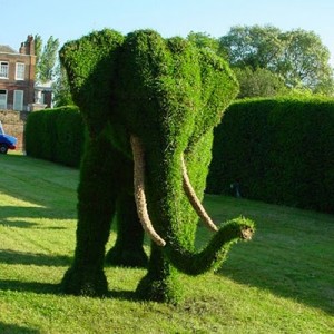 Слон из зелени