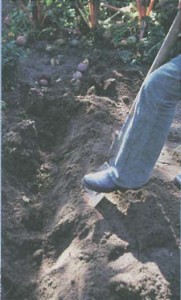 Перекапывание почвы