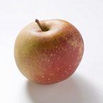 Плод яблони сорта "Боскоп"