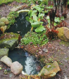 Садовый уголок с прудом