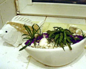 Уход за растениями в ванной комнате