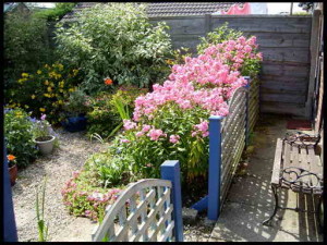 Цветущая клумба в саду