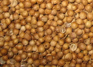 Семена кориандра