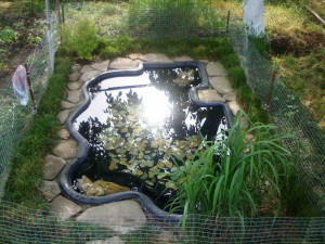 Искусственный пруд в саду